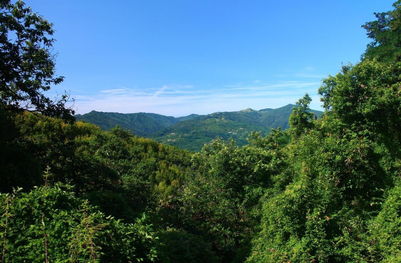 Hotel Podere Conti Filattiera Luaran gambar