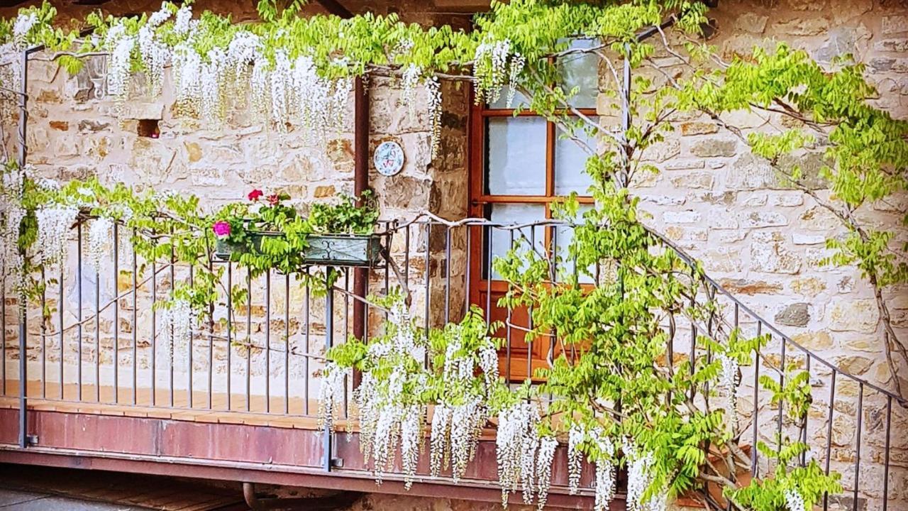 Hotel Podere Conti Filattiera Luaran gambar